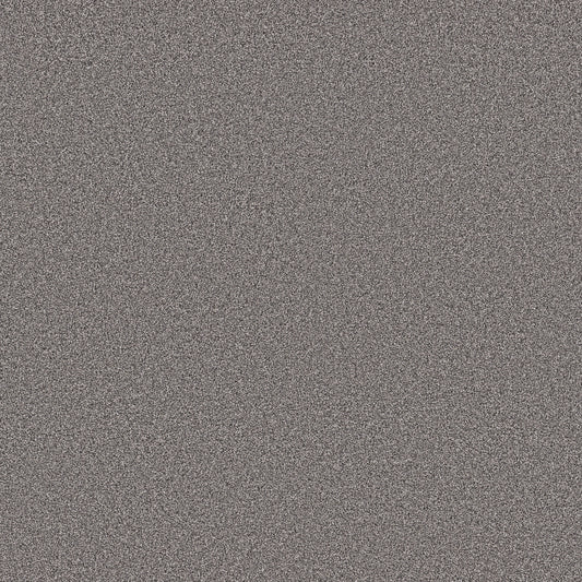 Shaw Floors - Carpet - Pet Perfect Collection - Grand Influence III - 12' - Charcoal Luster