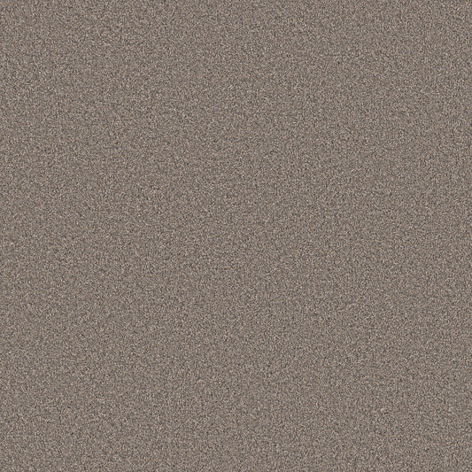 Shaw Floors - Carpet - Pet Perfect Collection - Grand Influence III - 12' - Castle Rock