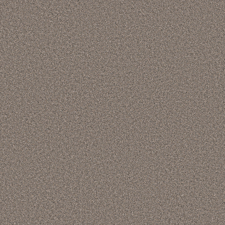 Shaw Floors - Carpet - Pet Perfect Collection - Grand Influence III - 12' - Castle Rock