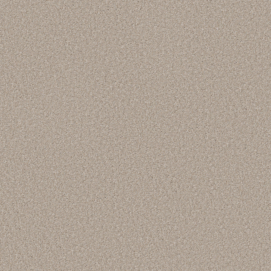 Shaw Floors - Carpet - Simply the Best Values Collection - Good Move I - 12' - Sandy Shore