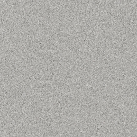 Shaw Floors - Carpet - Simply the Best Values Collection - Good Move II - 12' - Soft Fleece