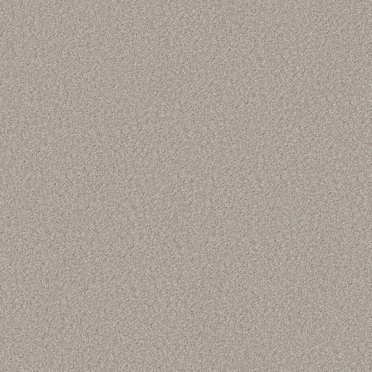 Shaw Floors - Carpet - Simply the Best Values Collection - Good Move II - 12' - Desert Light