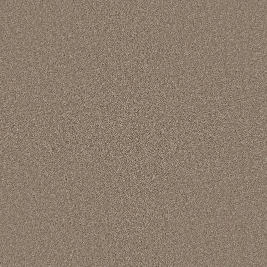 Shaw Floors - Carpet - Simply the Best Values Collection - Good Move II - 12' - Grecian Tan