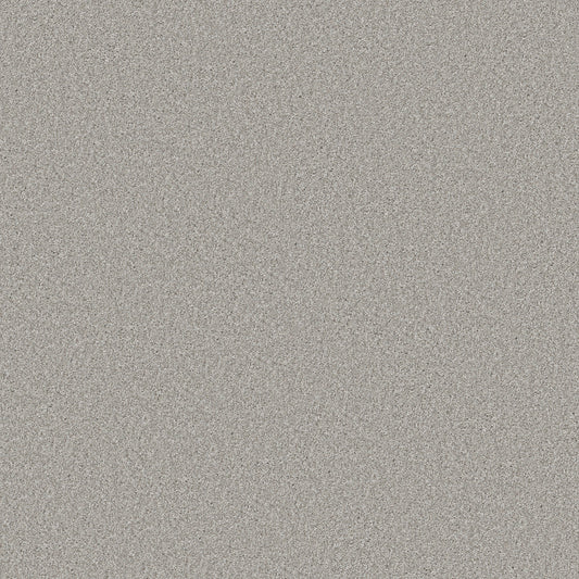 Shaw Floors - Carpet - Simply the Best Values Collection - Good Move II - 12' - Ecru