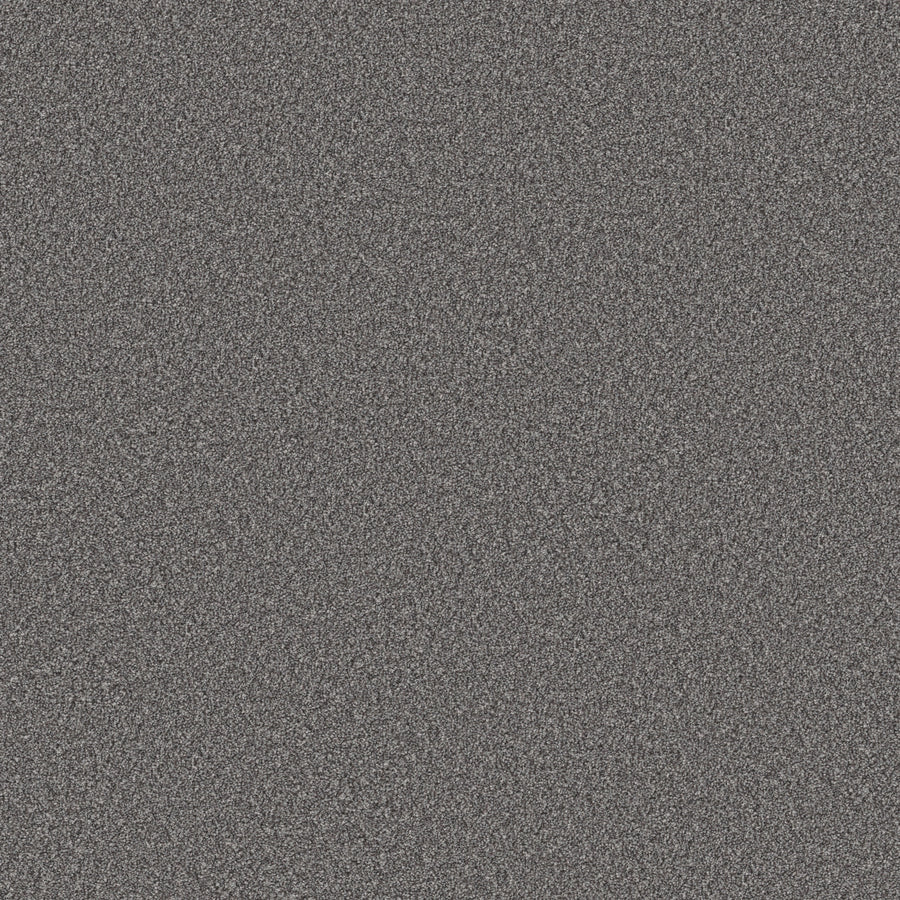 Shaw Floors - Carpet - Simply the Best Values Collection - Good Move II - 12' - Sterling