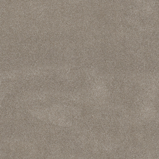 Shaw Floors - Carpet - Simply the Best Values Collection - Good Move II - 12' - Winter Dunes