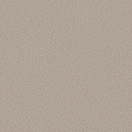 Shaw Floors - Carpet - Simply the Best Values Collection - Good Move III - 12' - Sandy Shore