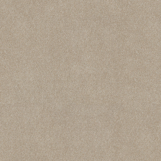 Shaw Floors - Carpet - Simply the Best Values Collection - Good Move III - 12' - Practical Beige
