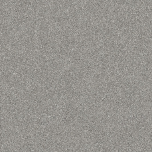 Shaw Floors - Carpet - Simply the Best Values Collection - Good Move III - 12' - Fog