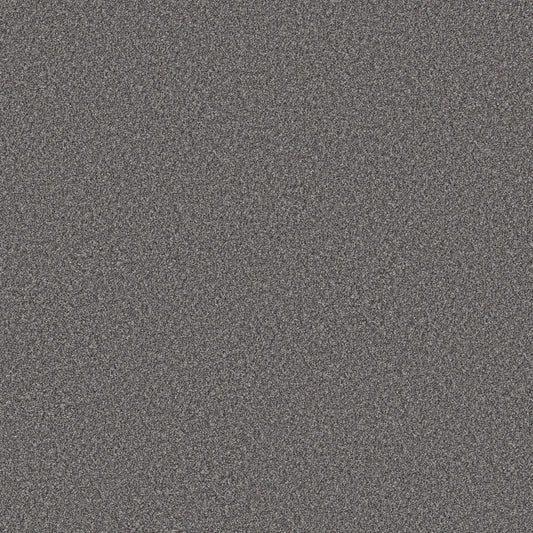Shaw Floors - Carpet - Simply the Best Values Collection - Good Move III - 12' - Sterling
