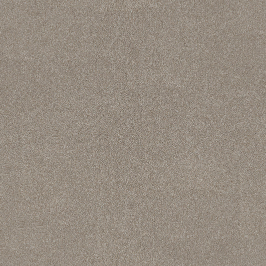 Shaw Floors - Carpet - Simply the Best Values Collection - Good Move III - 12' - Winter Dunes