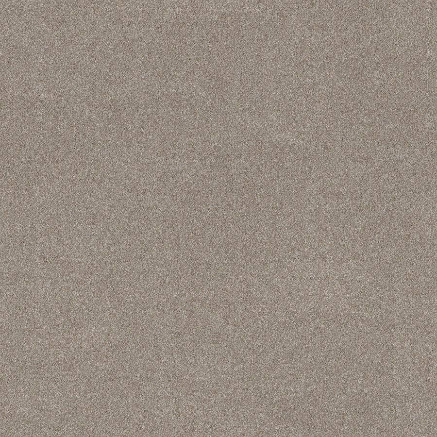 Shaw Floors - Carpet - Simply the Best Values Collection - Good Move III - 12' - Winter Dunes
