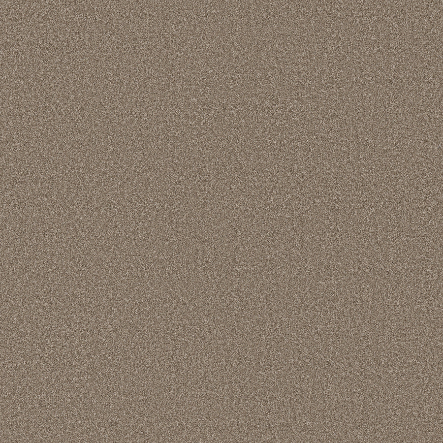 Shaw Floors - Carpet - Simply the Best Values Collection - Imaginable I - 12' - Clay