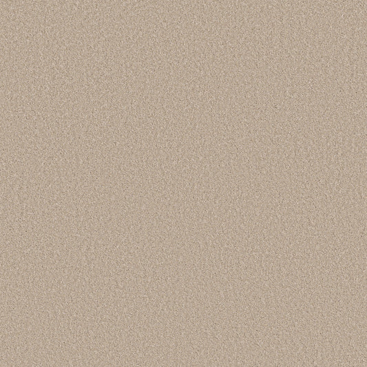 Shaw Floors - Carpet - Simply the Best Values Collection - Imaginable II - 12' - Dunes