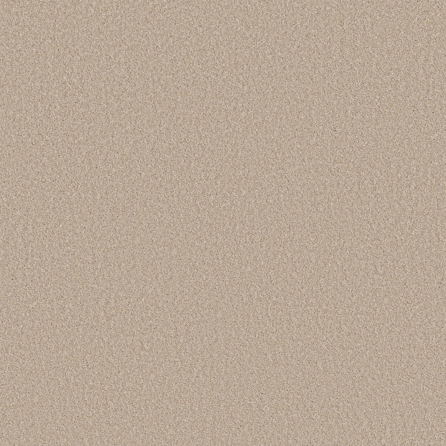 Shaw Floors - Carpet - Simply the Best Values Collection - Imaginable II - 12' - Dunes