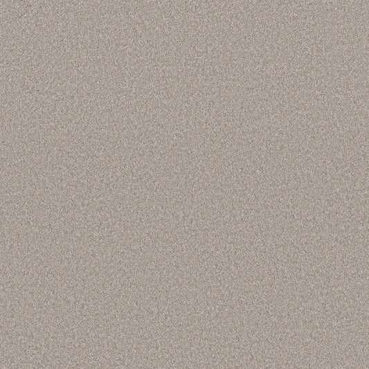 Shaw Floors - Carpet - Simply the Best Values Collection - Imaginable II - 12' - Great Greige