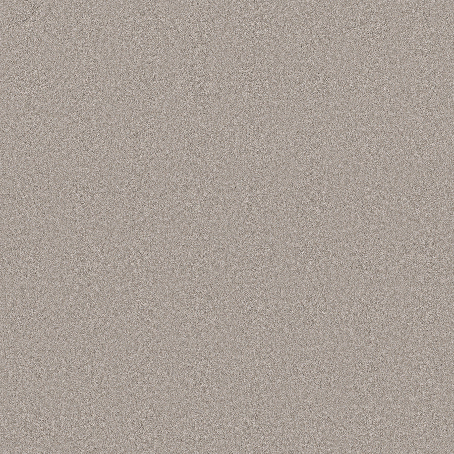 Shaw Floors - Carpet - Simply the Best Values Collection - Imaginable II - 12' - Great Greige