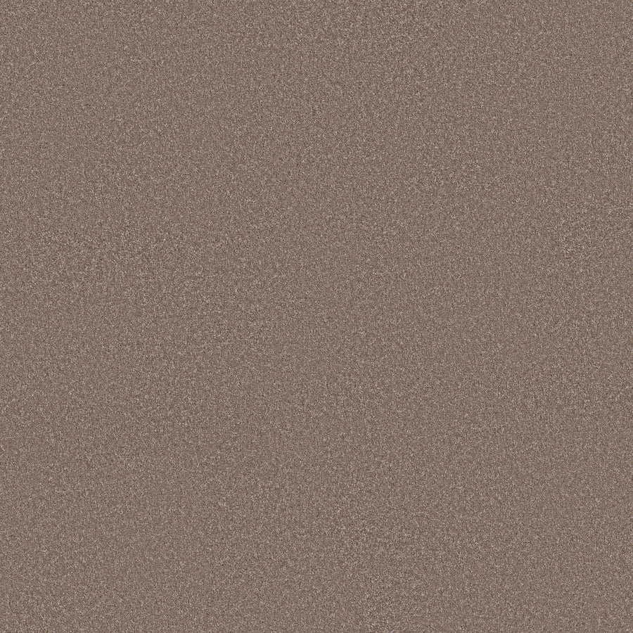 Shaw Floors - Carpet - Simply the Best Values Collection - Imaginable II - 12' - Weathered