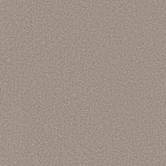 Shaw Floors - Carpet - Simply the Best Values Collection - Imaginable II - 12' - Misty Harbor