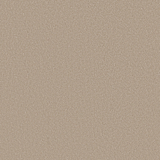 Shaw Floors - Carpet - Simply the Best Values Collection - Imaginable II - 12' - Latte