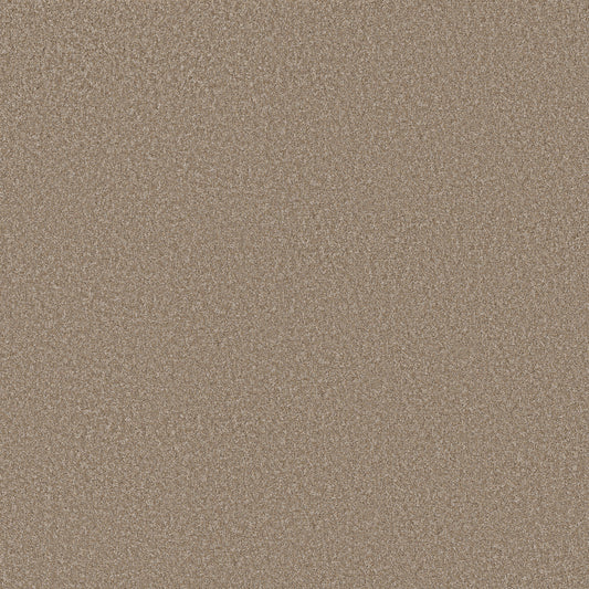 Shaw Floors - Carpet - Simply the Best Values Collection - Imaginable II - 12' - Raw Wood