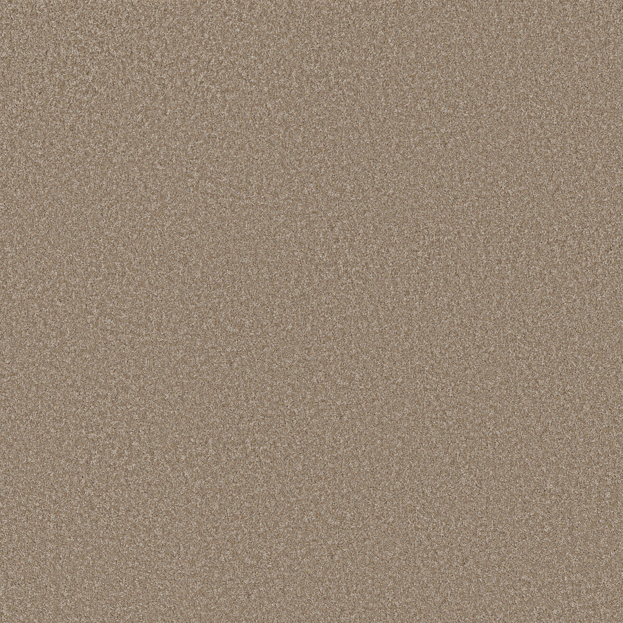 Shaw Floors - Carpet - Simply the Best Values Collection - Imaginable II - 12' - Raw Wood