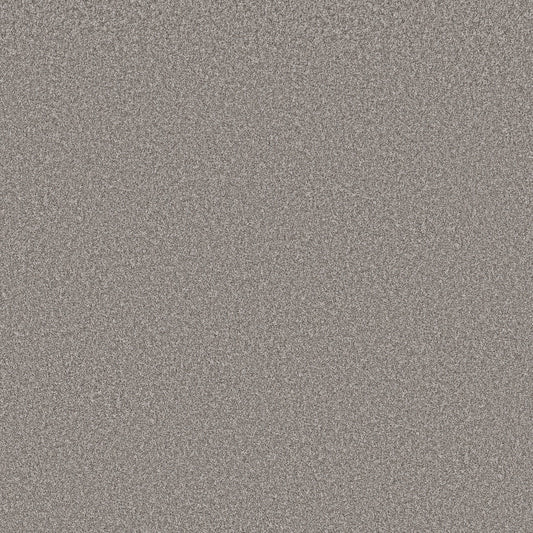 Shaw Floors - Carpet - Simply the Best Values Collection - Imaginable II - 12' - Stone Path