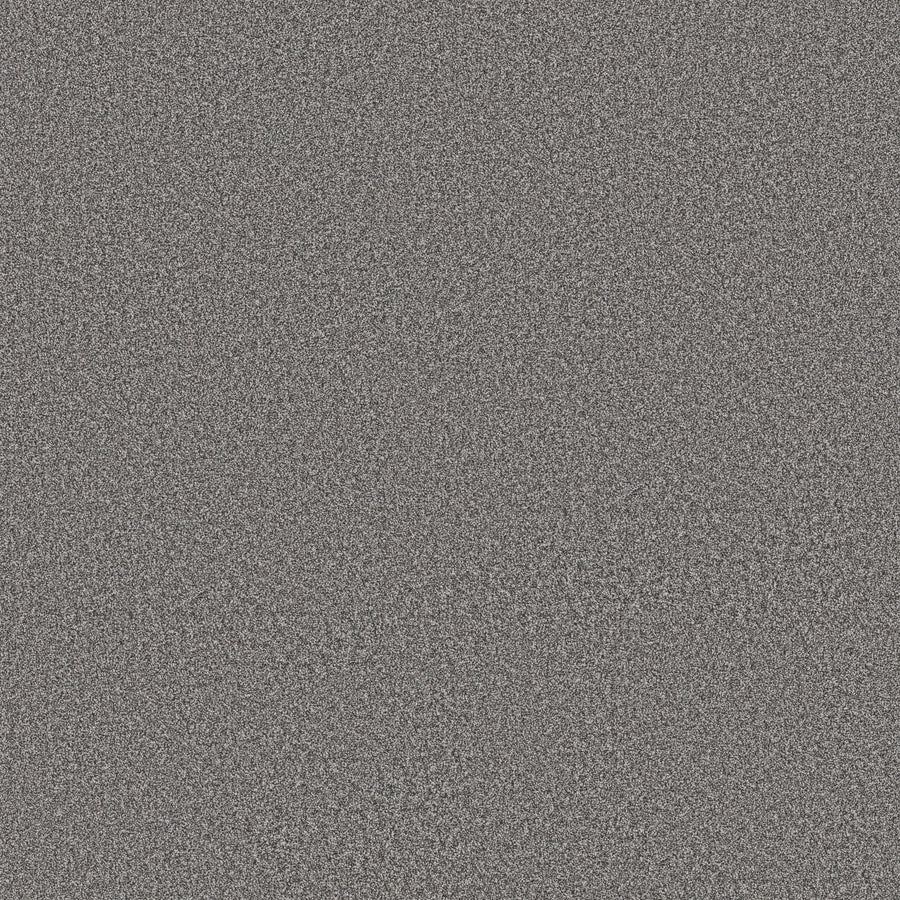 Shaw Floors - Carpet - Simply the Best Values Collection - Imaginable II - 12' - Concrete