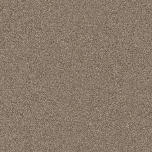 Shaw Floors - Carpet - Simply the Best Values Collection - Imaginable II - 12' - Clay