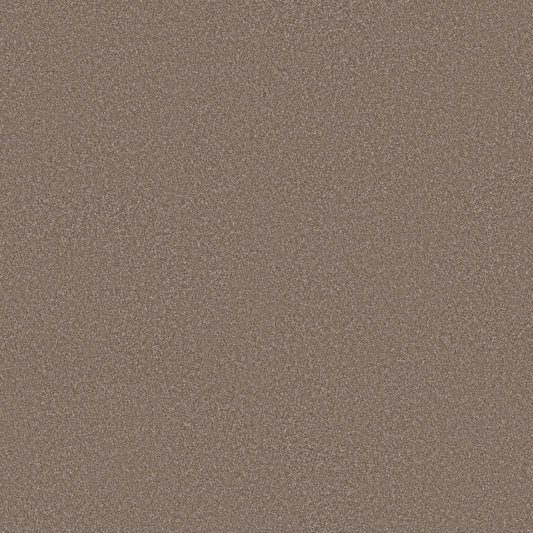 Shaw Floors - Carpet - Simply the Best Values Collection - Imaginable III - 12' - Weathered