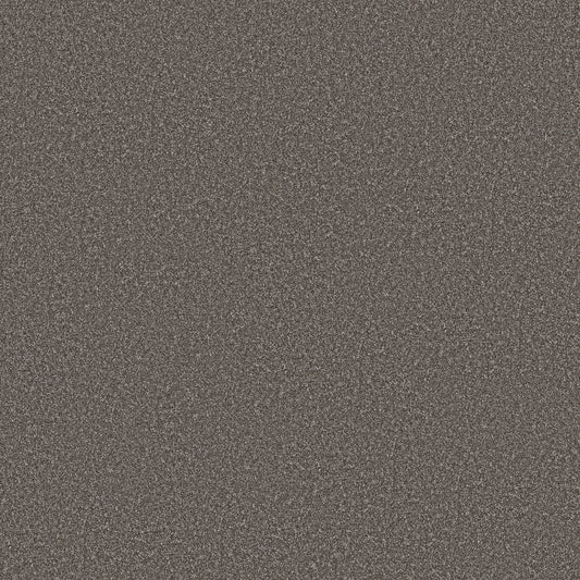 Shaw Floors - Carpet - Simply the Best Values Collection - Imaginable III - 12' - Sparrow