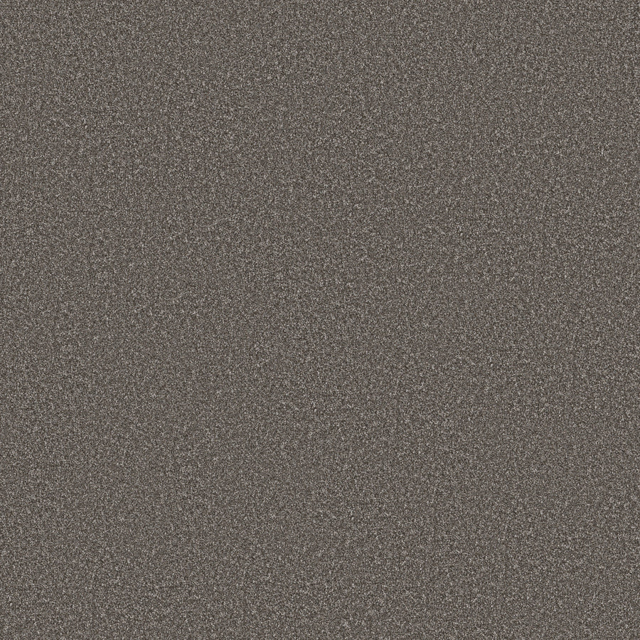 Shaw Floors - Carpet - Simply the Best Values Collection - Imaginable III - 12' - Sparrow