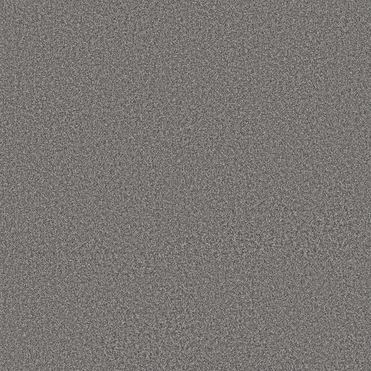 Shaw Floors - Carpet - Simply the Best Values Collection - Imaginable III - 12' - Concrete