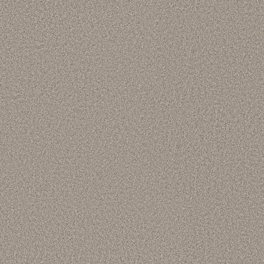 Shaw Floors - Carpet - Simply the Best Values Collection - Imaginable III - 12' - Granite Dust