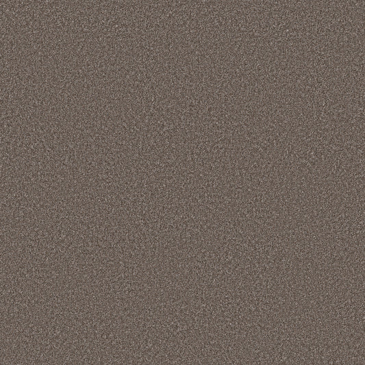 Shaw Floors - Carpet - Simply the Best Values Collection - Imaginable III - 12' - French Roast