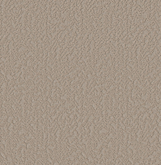 Shaw Floors - Carpet - Pet Perfect Collection - Joyful Spirit - 12' - Picnic