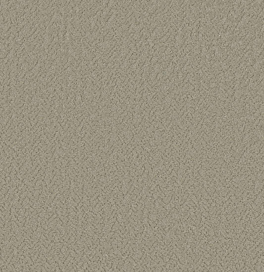 Shaw Floors - Carpet - Pet Perfect Collection - Joyful Spirit - 12' - Watercolor