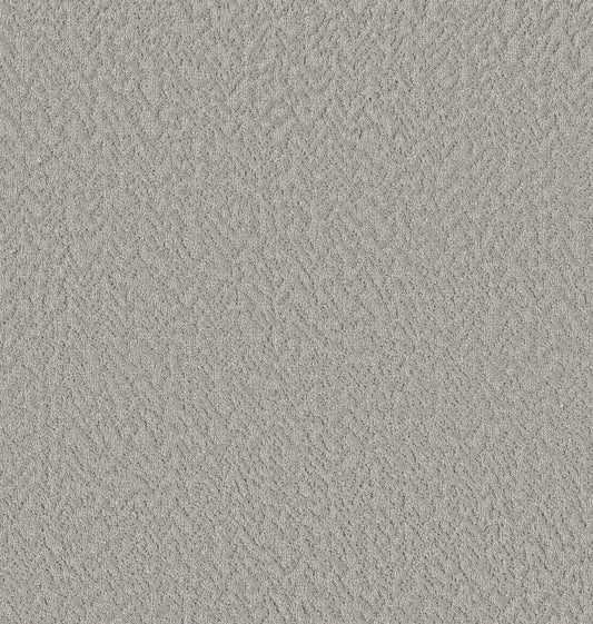 Shaw Floors - Carpet - Pet Perfect Collection - Joyful Spirit - 12' - Birdsong