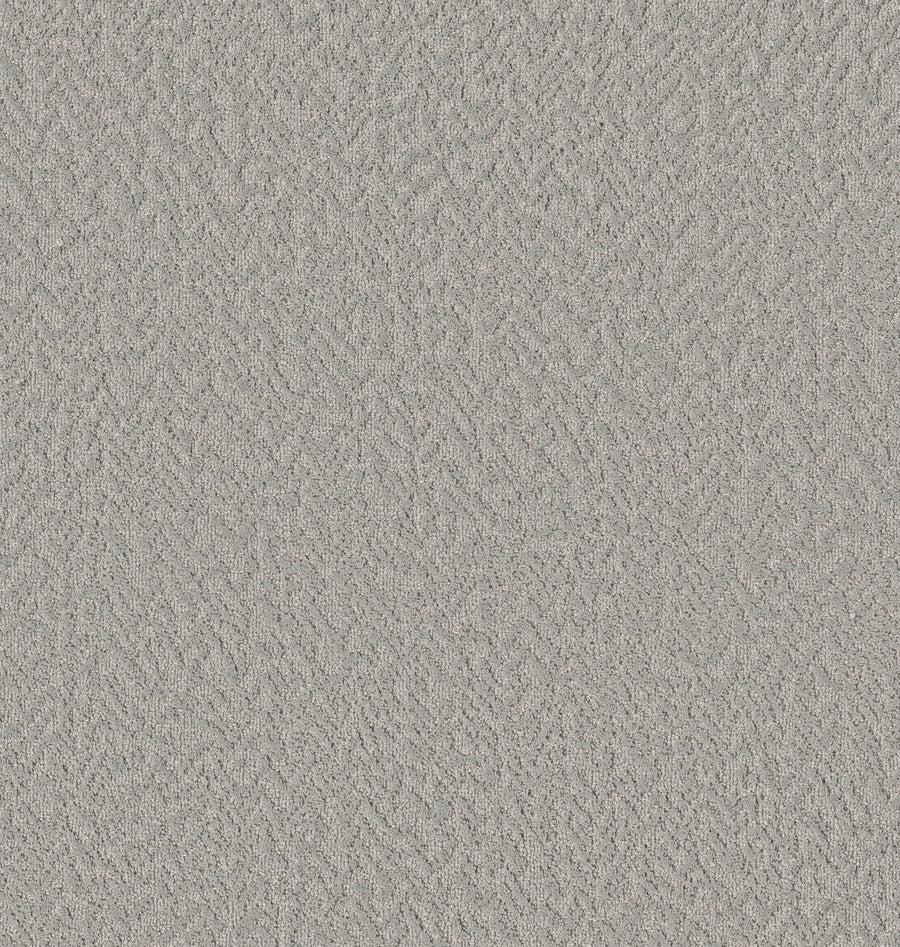Shaw Floors - Carpet - Pet Perfect Collection - Joyful Spirit - 12' - Birdsong
