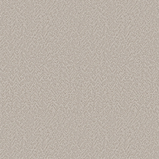Shaw Floors - Carpet - Pet Perfect Collection - Joyful Spirit - 12' - Wishing Well