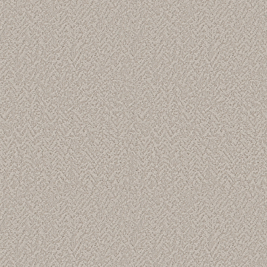 Shaw Floors - Carpet - Pet Perfect Collection - Joyful Spirit - 12' - Wishing Well