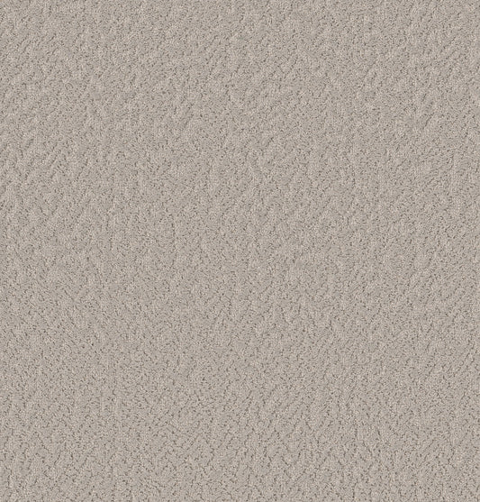Shaw Floors - Carpet - Pet Perfect Collection - Joyful Spirit - 12' - Warm Hug