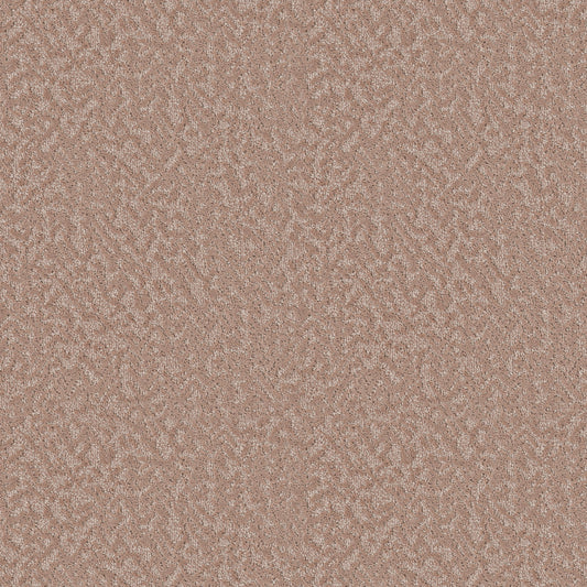 Shaw Floors - Carpet - Pet Perfect Collection - Joyful Spirit - 12' - Lullaby