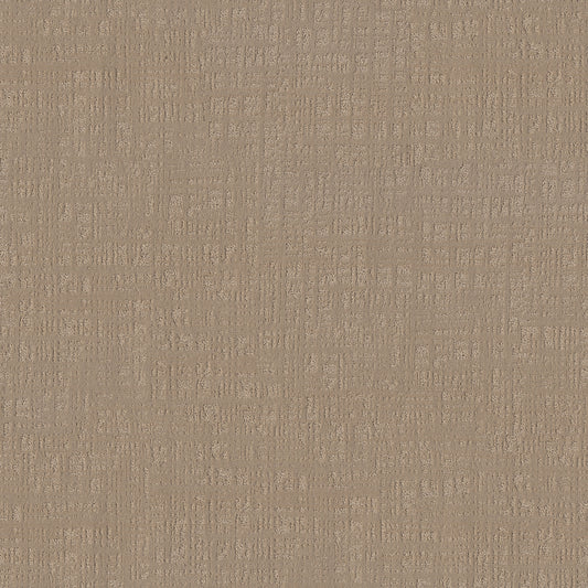 Shaw Floors - Carpet - Pet Perfect Collection - Natural Instinct - 12' - Clay
