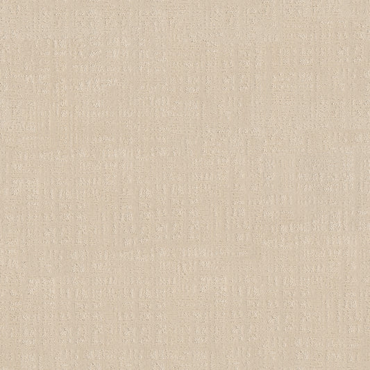 Shaw Floors - Carpet - Pet Perfect Collection - Natural Instinct - 12' - Sand