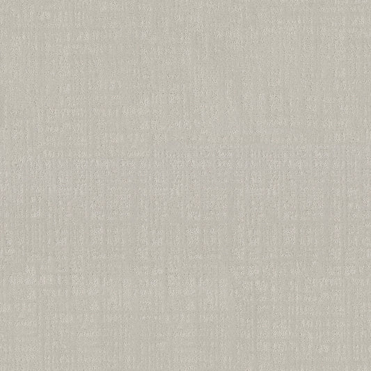 Shaw Floors - Carpet - Pet Perfect Collection - Natural Instinct - 12' - Ash