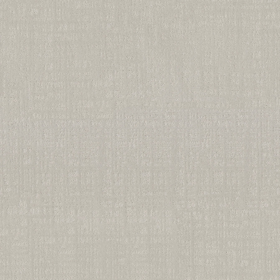 Shaw Floors - Carpet - Pet Perfect Collection - Natural Instinct - 12' - Ash