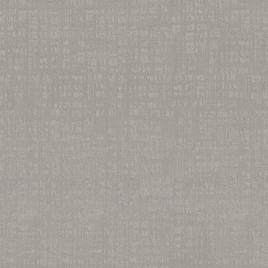 Shaw Floors - Carpet - Pet Perfect Collection - Natural Instinct - 12' - Stone