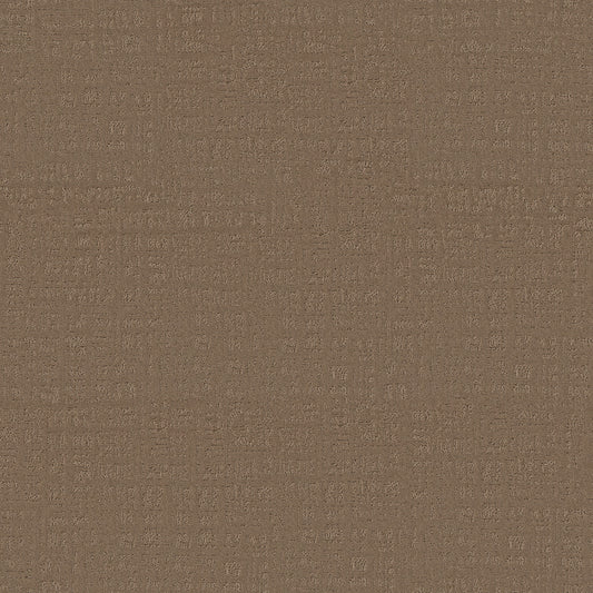 Shaw Floors - Carpet - Pet Perfect Collection - Natural Instinct - 12' - Wheat