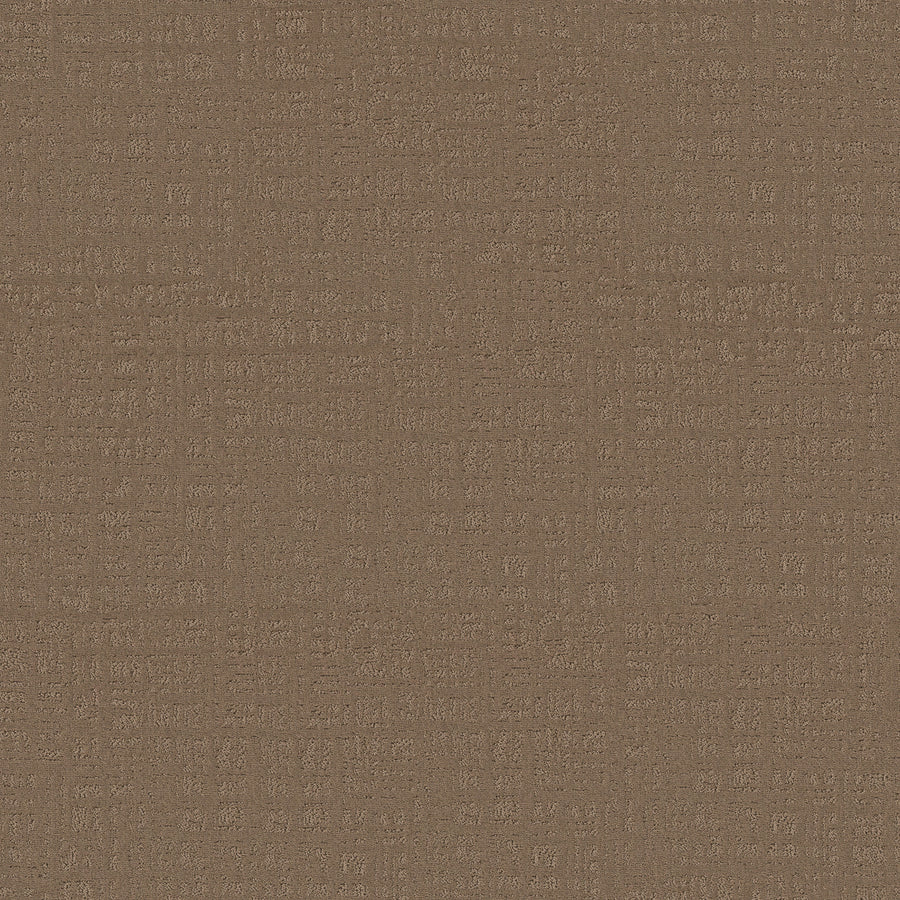 Shaw Floors - Carpet - Pet Perfect Collection - Natural Instinct - 12' - Wheat